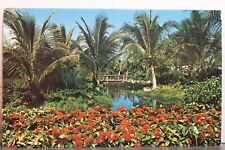 Bahamas freeport garden for sale  Wilmington