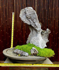 Japanese suiseki bonsai for sale  Los Angeles