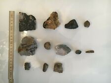 Petrefakten fosilien muscheln gebraucht kaufen  Rockenberg