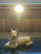 Boston terrier dog for sale  Trenton