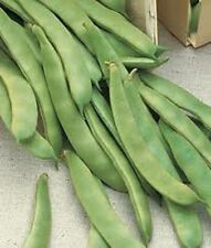 Used, Romano Pole Bean Seeds Italian Roma II  Brown/White Flat Yard Heirloom NON-GMO for sale  Shipping to South Africa