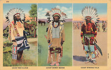 Postcard chief red for sale  Thorofare