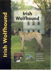 Irish wolfhound alice for sale  UK