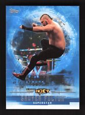 2017 topps wwe for sale  Parker