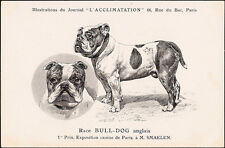 Race bull dog d'occasion  Rennes-