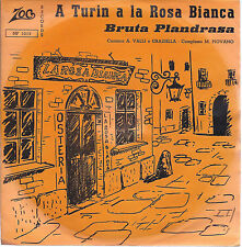 Turin rosa bianca usato  Vignate
