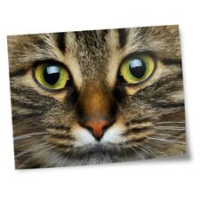 8x10 prints bengal for sale  SELBY