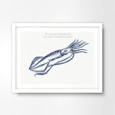 Giant squid illustration for sale  PEVENSEY