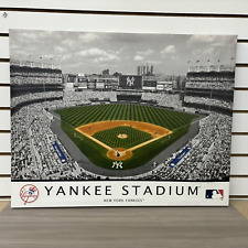 New york yankee for sale  Ely
