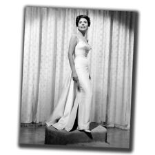 Lena Horne Fine Art celebridades Vintage Retro Foto Brillante Tamaño Grande 8X10in I058 segunda mano  Embacar hacia Spain
