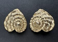 Vintage ammonite heart for sale  LONDON