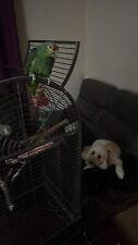 african grey cages for sale  PRESTON