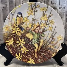 Wedgwood winter jasmine for sale  BRISTOL