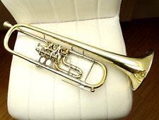 wunderschöne Trompete comprar usado  Enviando para Brazil