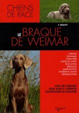 Braque weimar d'occasion  France