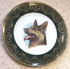 Alsation decorative plate for sale  EAST GRINSTEAD