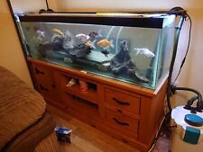All Pond Solutions Aquarium filter pump 1000EF, 4ft Tank, cabinet, lights, fish for sale  CARDIFF
