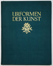 Karl blossfeldt urformen gebraucht kaufen  Weststadt