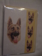 Carte chien berger d'occasion  Troyes
