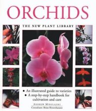 Orchids mikolajski andrew for sale  UK