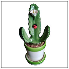 Cactus piante grasse usato  Civitanova Marche