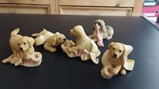 Labrador puppy toilet for sale  CHELMSFORD
