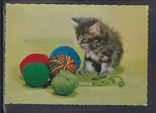 Cartolina gatto con usato  Italia