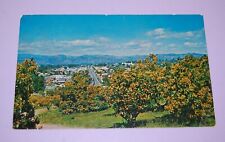 Vintage chrome postcard for sale  Escondido
