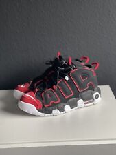 Nike uptempo gebraucht kaufen  Alzey-Umland