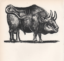Picasso pablo toro usato  Castellammare Di Stabia