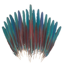 macaw tail feathers for sale  Wadmalaw Island