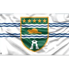 Bandera de Surrey, Canadá | Diseño único, 3x5 pies/90x150 cm segunda mano  Embacar hacia Argentina