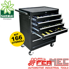 FerMec 53194 Carrello portautensili 6 cassetti con ruote completo 166 utensili usato  Valva