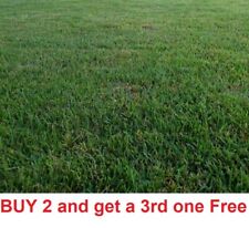 Zenith zoysia grass for sale  Shipping to Ireland