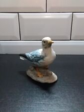 seagull bird for sale  SOUTH OCKENDON