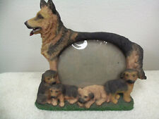 German shepherd puppies for sale  Waller