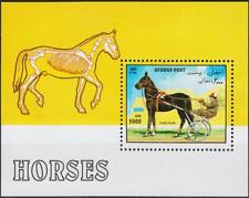 Afghanistan 1996 cavalli usato  Trambileno