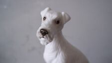 Royal doulton dog for sale  NORTHWICH