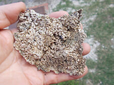 Minerali r19 ematite usato  Buggiano