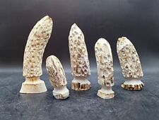 Morel mushroom carving for sale  Martinsburg