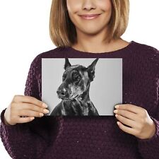 Doberman dog portrait for sale  SELBY