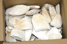 500g cuttlefish bones for sale  CHICHESTER