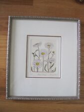 Field daisy picture for sale  Parker