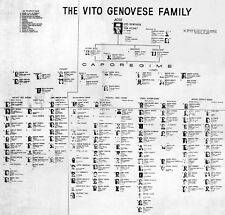 Vito genovese family for sale  Rochester