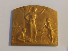 Médaille bronze comice d'occasion  Frejus