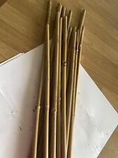 bamboo canes for sale  TAUNTON