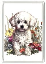 Bichon frise lovely for sale  Shipping to Ireland