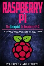 Raspberry blueprint raspberry for sale  ROSSENDALE