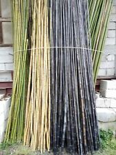 Canne bamboo bambu usato  Casoli