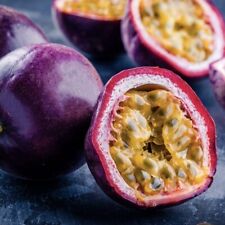 Usado, "Maracuya fruta de la pasión vid púrpura (Passiflora edulis)l planta viva 12""- 24" segunda mano  Embacar hacia Argentina